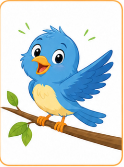 A bird